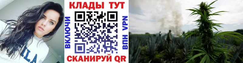 Продажа наркотиков Черноголовка Марихуана  АМФЕТАМИН  COCAIN  ГАШ  МЕТАДОН  СОЛЬ  МЕФ 