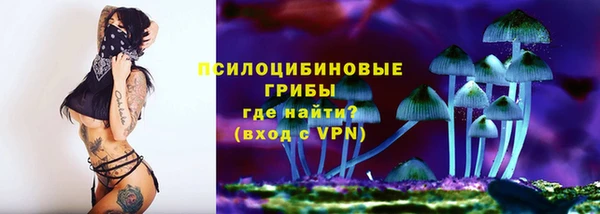 спайс Алексин