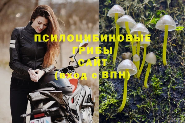 дмт Алзамай