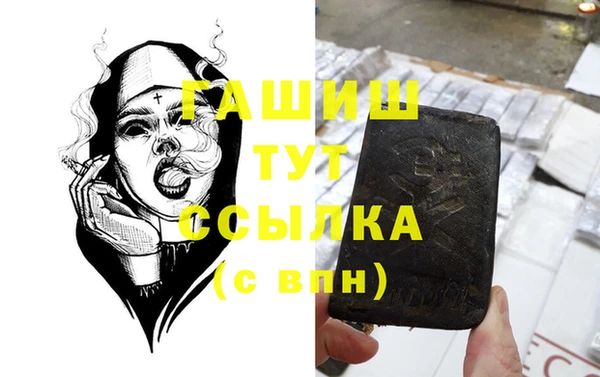 стаф Инта