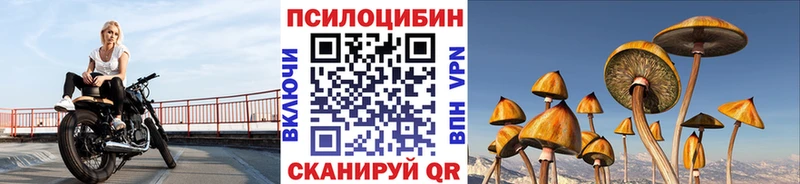 Псилоцибиновые грибы Cubensis как найти закладки Черноголовка